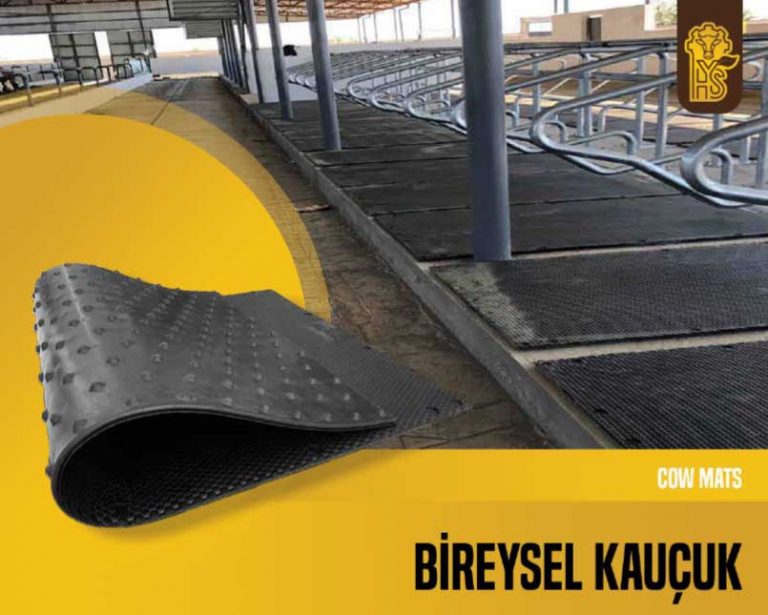 Bireysel Kauçuk
