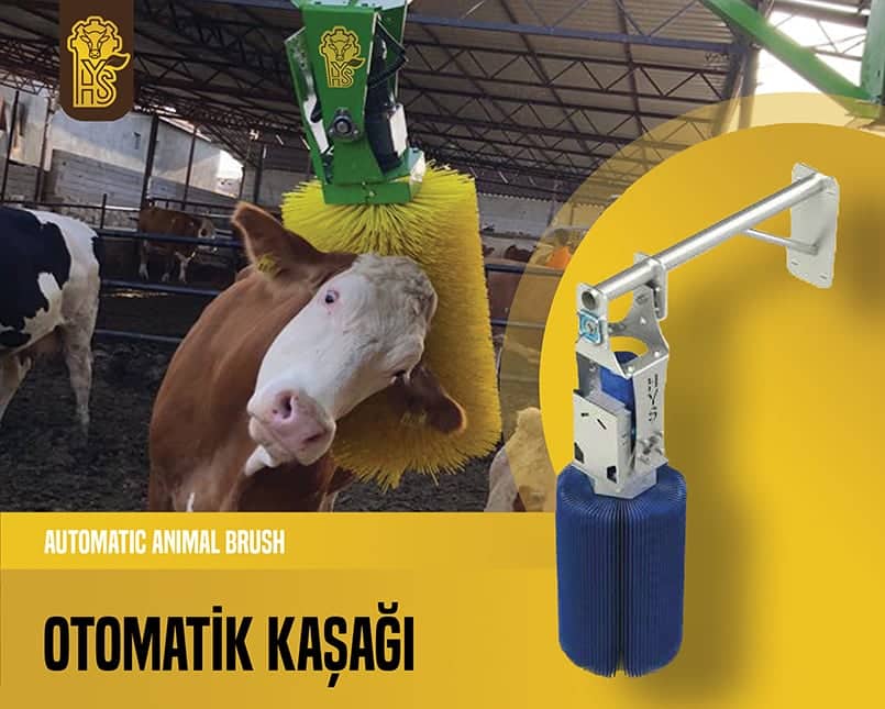 Otomatik Kaşağı